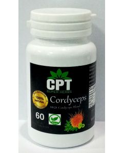 Cordyceps Mushroom Powder 60 Units