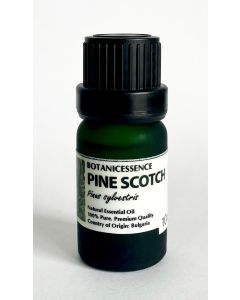 pine scotch essential oil
