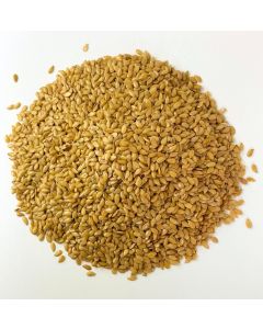 Flaxseed Golden