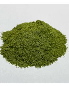 Moringa Organic Powder 100gram