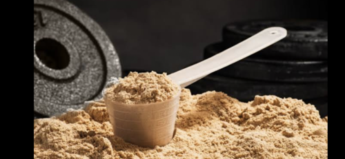 Protein Powders