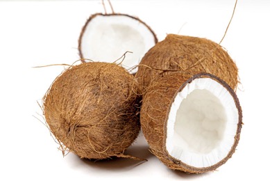 Coconut Protein 