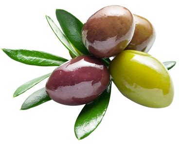 Marvels of Olives 