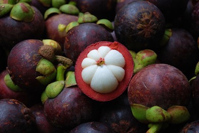 Mangosteen 