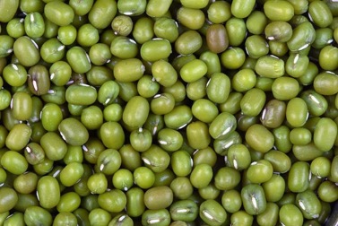 Mung Bean Protein