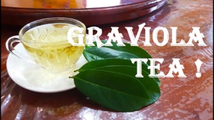 Graviola Soursop Tea 