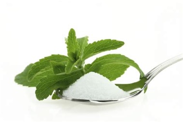 Stevia Powder