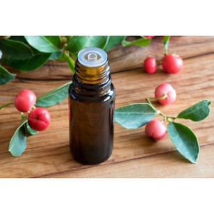 Wintergreen Essential Oil